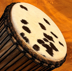 Bougarabou Trommel aus Mali Trommelfell