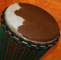 Bougarabou Trommel aus Mali Trommelfell