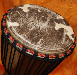 Djembe Trommel  Fell