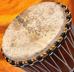 Djembe Trommel Fell