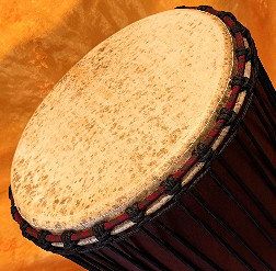 Djembe Trommel  Fell