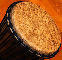 Djembe Trommel Fell