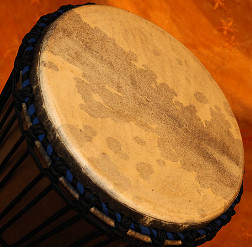 Djembe Trommel Fell