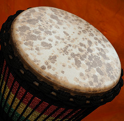 Djembe Trommel Fell