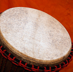 Djembe Trommel Fell