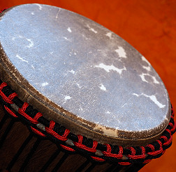 Djembe Trommel Fell